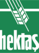 Hektas